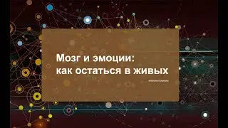 Мозг и эмоции: как остаться в живых