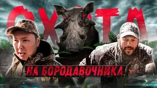 Охота на трофейного бородавочника в Южной Африке