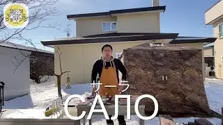 ЯПОНЕЦ ПРОБУЕТ ПРИГОТОВИТЬ САЛО/ОЗВУЧКА ЯПОНСКИХ БЛОГЕРОВ