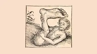 History is like Soup! (Pliny the Elder & Foreigners with One Foot!) : Archae-Facts
