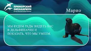 Инфо 01 05 2024