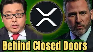 Ripple XRP: What Brad Garlinghouse JUST SAID 🚨 