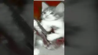 Шни шна шнапи