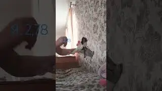 в конце уши упали :_)