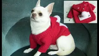 Вязание для собачки 🐶  Beginner-Friendly Dog Sweater | Adjustable Raglan Pattern for All Sizes