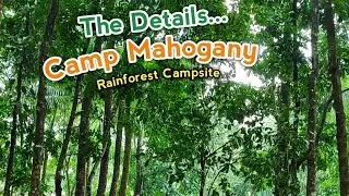 MAGCAMP NA RIN KAYO DITO! SULIT