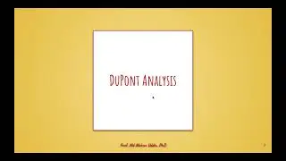 DuPont Analysis