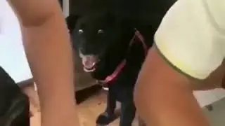 инстащит
