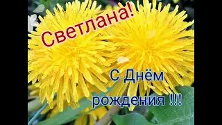 С ДНЁМ РОЖДЕНИЯ//ПОЗДРАВЛЕНИЕ С ДНЁМ РОЖДЕНИЯ ИМЕННОЕ//С ДНЁМ РОЖДЕНИЯ СВЕТЛАНА// ПОЖЕЛАНИЯ СВЕТЛАНЕ