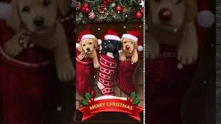 Galaxy Themes - [poly] christmas puppy