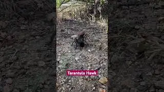 Wait until the end!  Where do you think it’s taking it?  