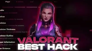 Using THE BEST Valorant Cheats Without Getting Banned (Full Tutorial)