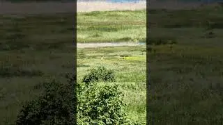 20 июня 2024 г.