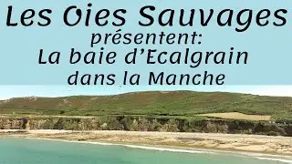 La baie d'Ecalgrain, dans la Manche