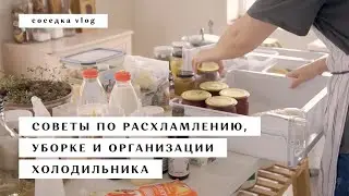 Ep. 38 🍃 советы по уборке, расхламлению и организации холодильника