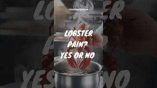 Is Lobster Pain REAL or Just a Myth?