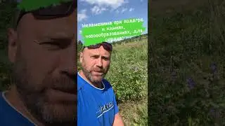 При подагре и камнях, луговой цветочек!!!