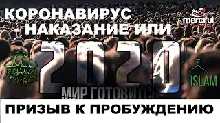 КОРОНАВИРУС - наказание или призыв пробудиться.