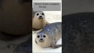 Кожаные деньги #shorts