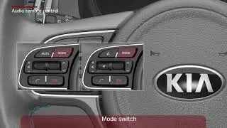Niro EV - Audio remote control