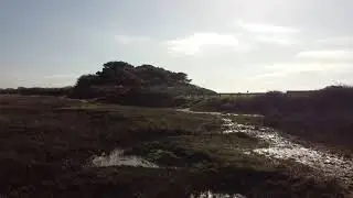 My great day at the beach!