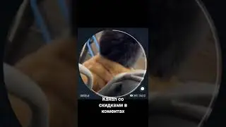 пов: с другом в автобусе #юмор
