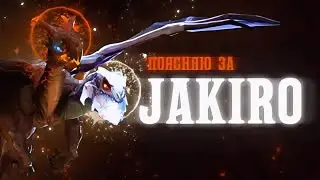 ПОЯСНЯЮ ЗА ДЖАКИРО