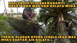 Woku Santan Air Kelapa // Nyong Jungle