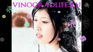 VINOGRADLIFE.RU