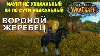 Вороной жеребец! Где взять?