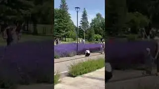 Место для фото 