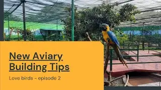 കിളികൂട് പണിയുബോള്‍ ശ്രധിക്കെണ്ട കാര്യങള് || New Bird Cage tips || Malayalam || New Aviary building