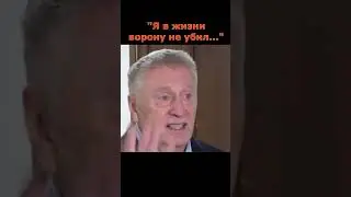 Жириновский не смог убить ворону
