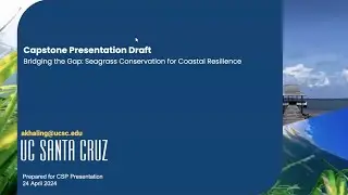 Ariq Khalingga Capstone Project: Comprehensive Policy Brief for Seagrass Protection & Rehabilitation