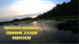 Приехали покидать спиннинг, а водоем подсох и зарос тиной!Белое 2021.