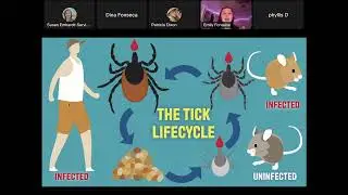Tick Confidence with NJ Ticks 4 Science!
