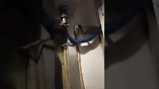 Мем из ТикТока 