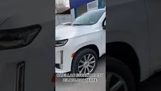 Чем нужно заниматься чтобы ездит на таком машине