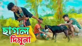 ছাগল দিমু না_যা পারলে করিস_🥵_Bangla Funny Video 2023_Funny Video_New Funny Video_#funny  #trending