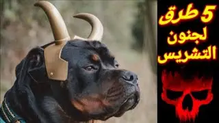 أبشع خمس طرق لتشريس كلبك/اوعي تفكر تعملهم مع كلبك😱😱😱