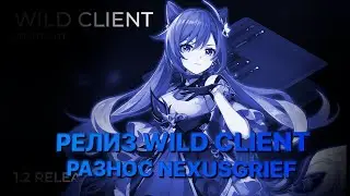 CRACK WILD CLIENT 1.2 | РАЗНОС NEXUSGRIEF С WILD CLIENT!! | ССЫЛКА В ОПИСАНИИ | MINECRAFT 1.12.2