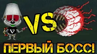 Terraria ДПС #4 | Убить глаз ктулху и не поцарапаться!