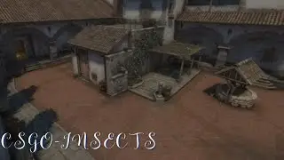 This kinda clip 🐰🐜(csgo)