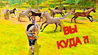 СОБРАЛА ВСЕХ ЛОШАДЕЙ-ТАБУН ЛОШАДЕЙ НА ВОЛЕ/Алисия Онлайн/ВСЕ ЛОШАДИ ВМЕСТЕ | HORSES Alicia Online