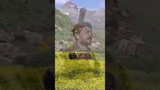 Were Delal