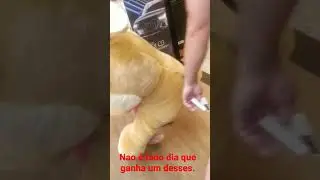 13 de abril de 2023
