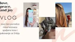 VLOG| Frizer mi spalio kosu, pakujem se za Srbiju, imamo novu macu & dm haul 🤩