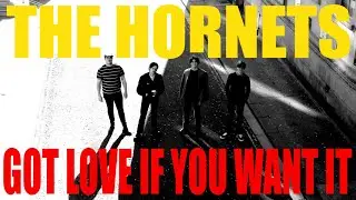 The Hornets - Got Love If You Want It (Live At Mr Wolfs, Bristol)