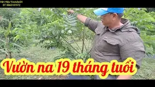 Vuon na 19 thang
