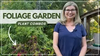 Foliage Over Flowers: Combine These Foliage Plants for an Exciting Display